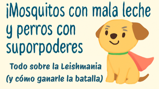 ¡Mosquitos con mala leche y perros con superpoderes! Todo sobre la Leishmania (y cómo ganarle la batalla)