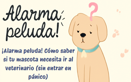 ¡Alarma peluda! Cómo saber si tu mascota necesita ir al veterinario (sin entrar en pánico)
