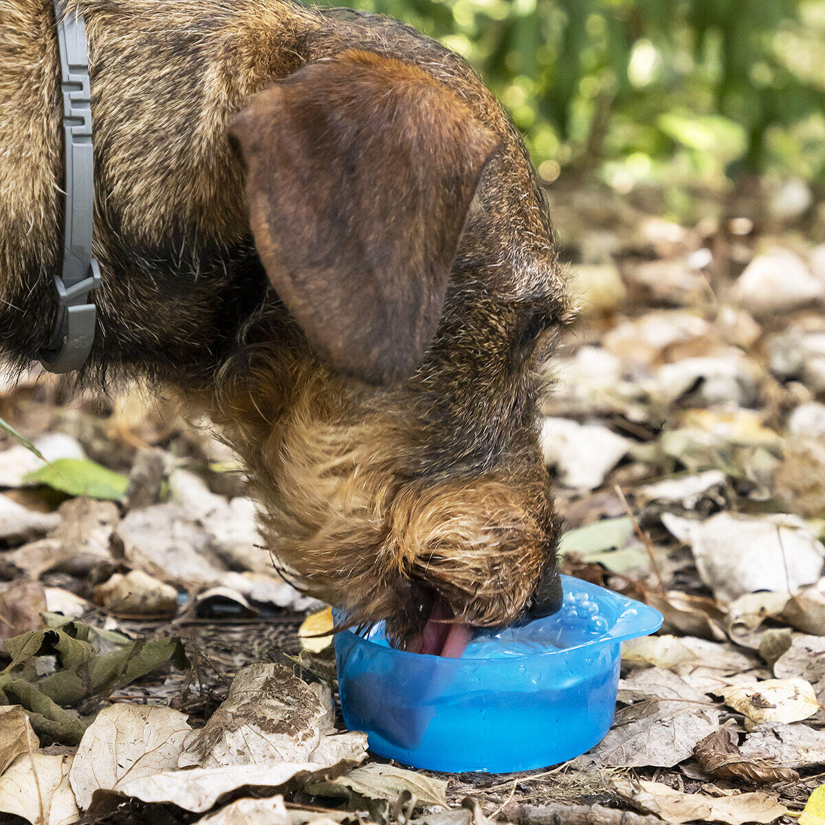 Botella con Depósito de Agua y Comida para Mascotas 2 en 1 - Accesorios para mascotas Mascotonas