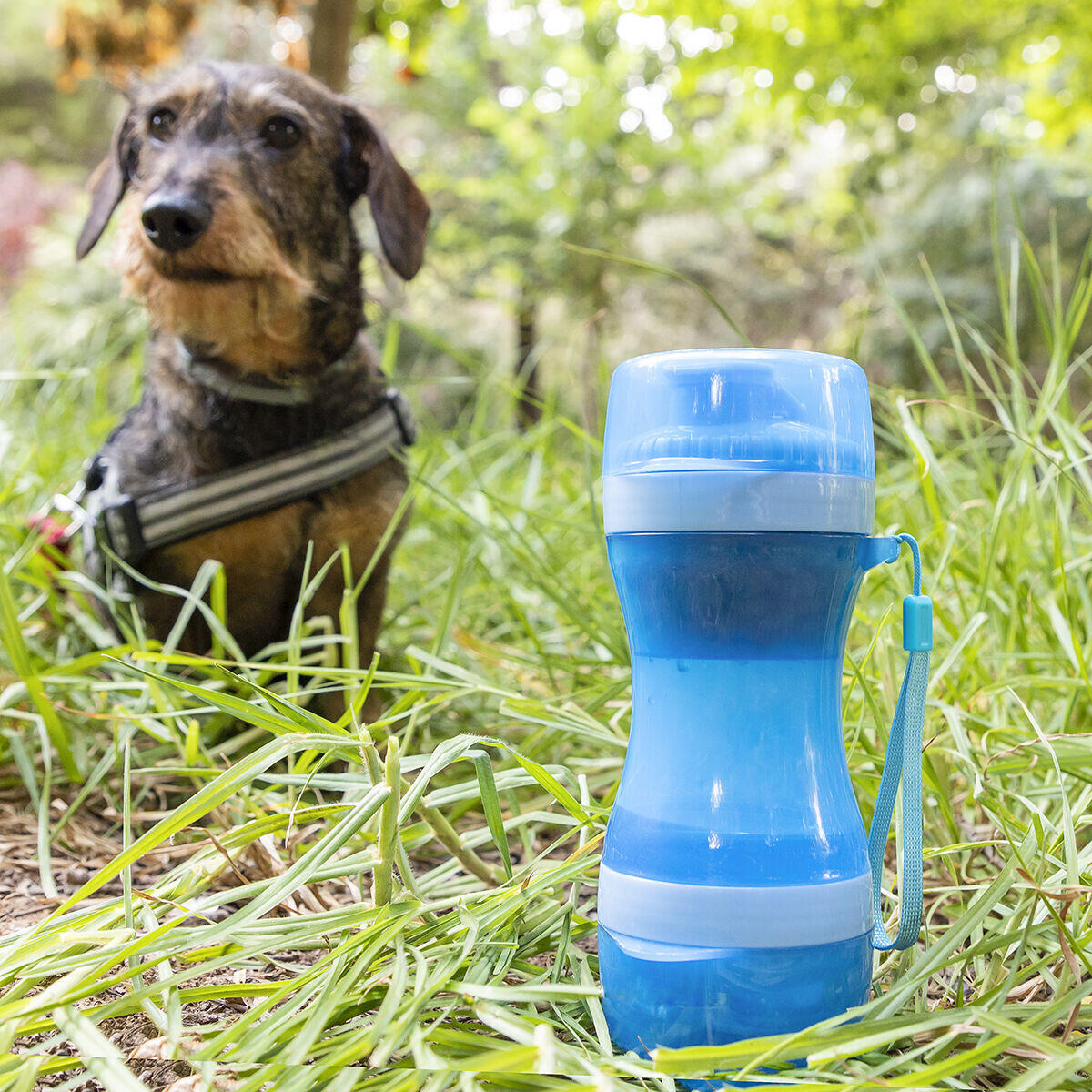 Botella con Depósito de Agua y Comida para Mascotas 2 en 1 - Accesorios para mascotas Mascotonas