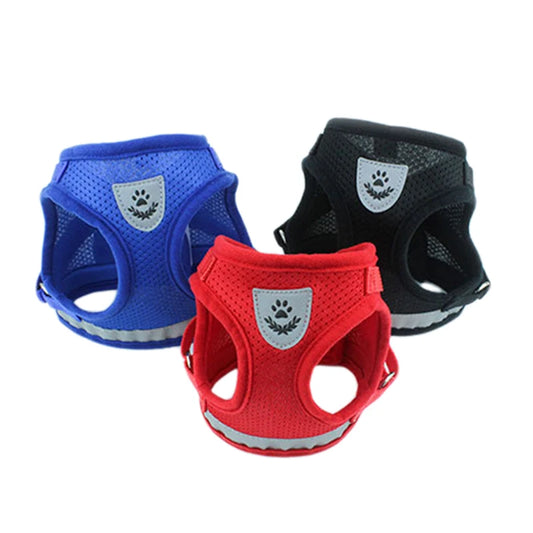 Arnés Reflectante con Correa para Gatos y Perros Pequeños - Seguridad Nocturna | Mascotonas - Accesorios para mascotas Mascotonas