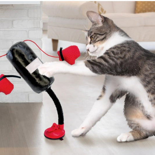 ¡Ring de Boxeo para Gatos! Juguete Interactivo Multifuncional para Felinos Activos - Accesorios para mascotas Mascotonas