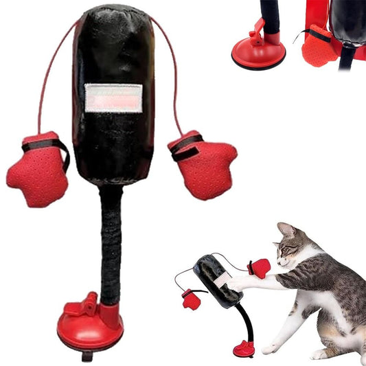 ¡Ring de Boxeo para Gatos! Juguete Interactivo Multifuncional para Felinos Activos - Accesorios para mascotas Mascotonas