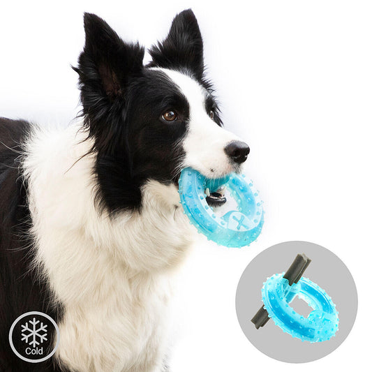 Juguete Mordedor Congelable para Perros 2 en 1 Azul - Accesorios para mascotas Mascotonas