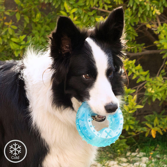 Juguete Mordedor Congelable para Perros 2 en 1 - Accesorios para mascotas Mascotonas