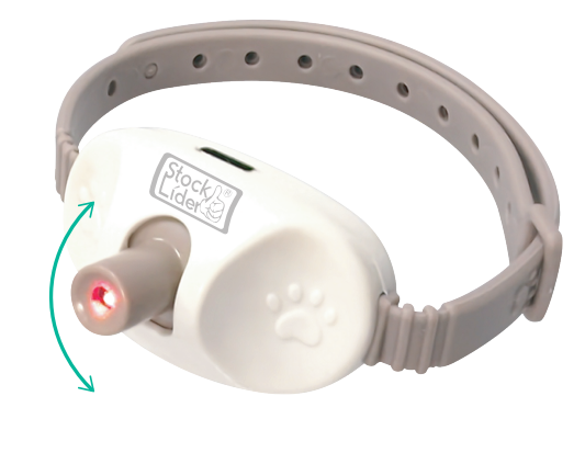 Collar Láser para Gatos Recargable USB – Juguete Interactivo para Gatos - Accesorios para mascotas Mascotonas